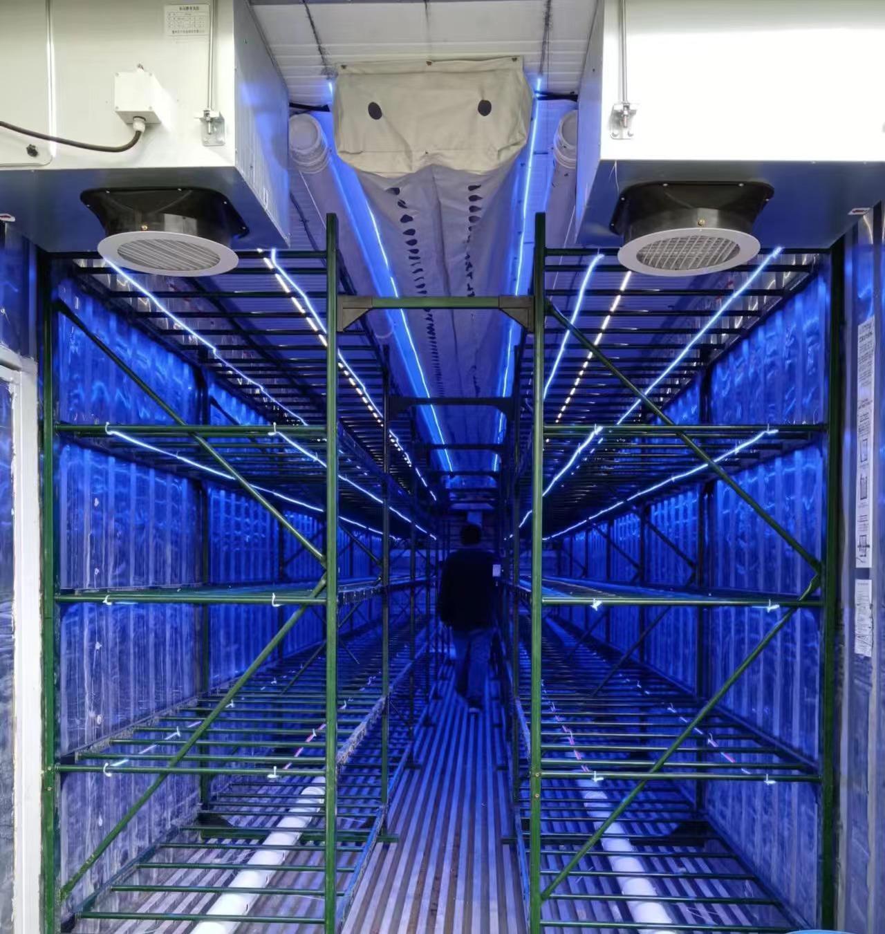 Smart Lighting